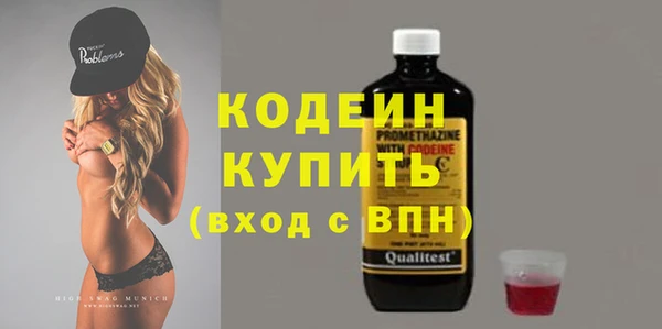 дживик Богородицк