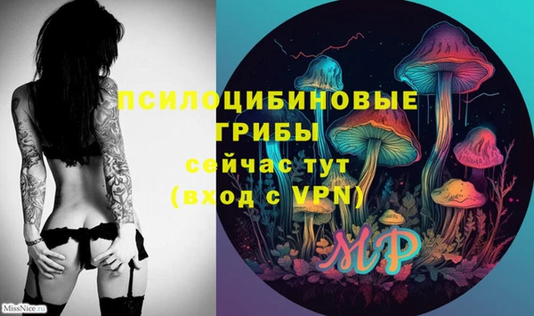 дживик Богородицк