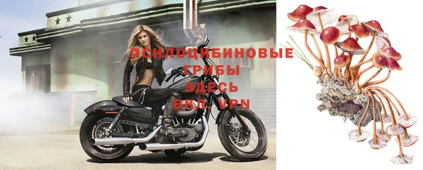 дживик Богородицк