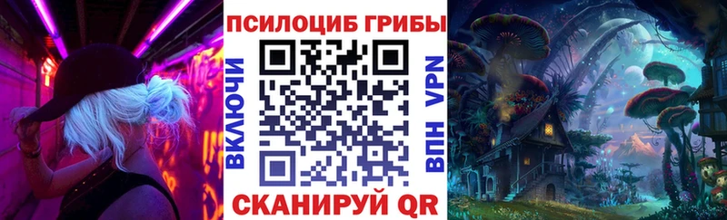Галлюциногенные грибы мицелий  Вяземский 